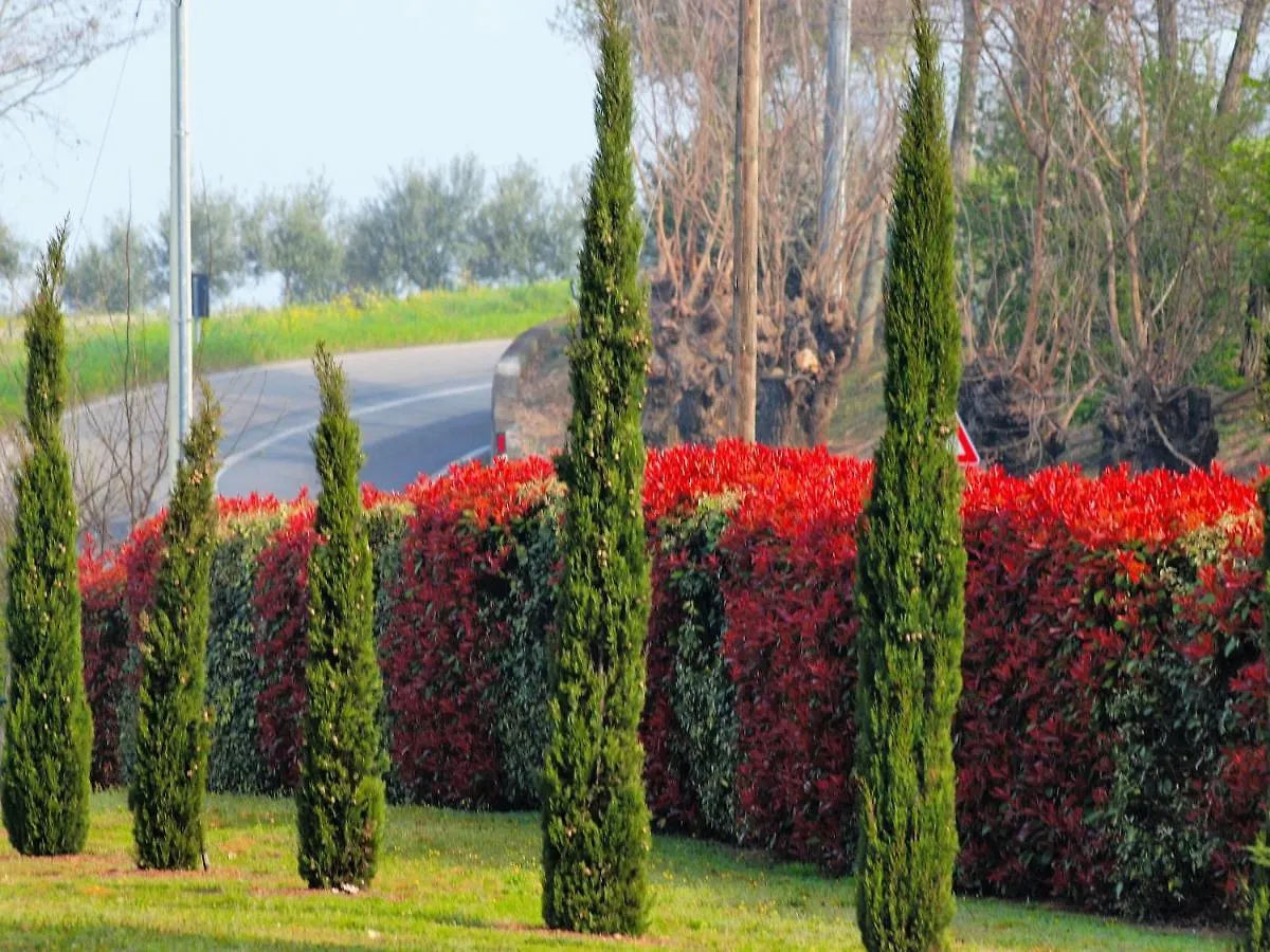 La Colombara - Fra I Colli A 5 Minuti Dall'Autodromo Imola Italië